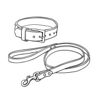 collar&leash